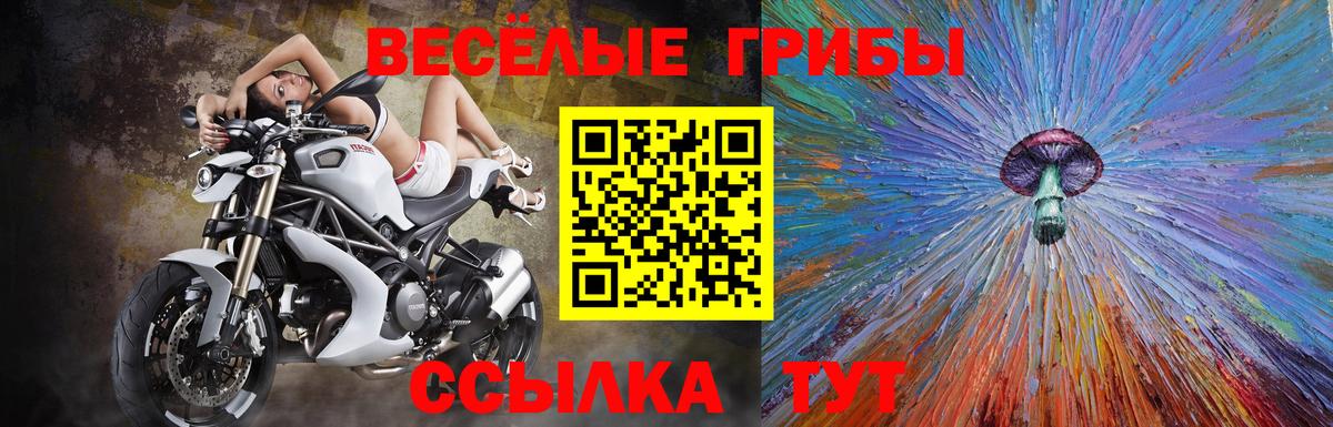 Асино  Галлюциногенные грибы MAGIC MUSHROOMS  Вход с VPN 
