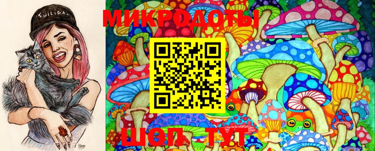 Псилоцибиновые грибы GOLDEN TEACHER Асино